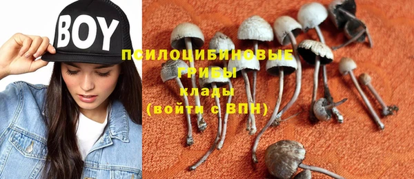 кокаин перу Бородино