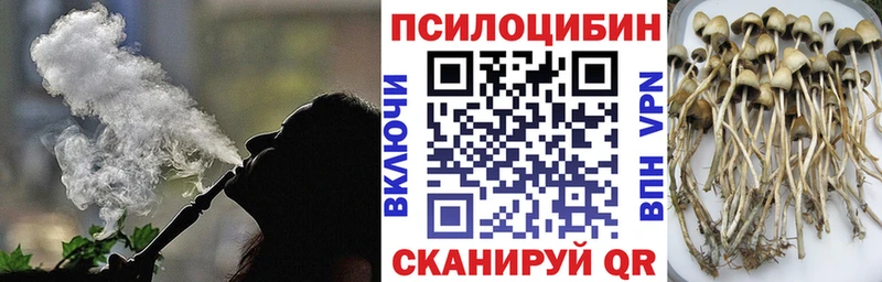 Купить где  Карачев  Псилоцибиновые грибы мицелий 